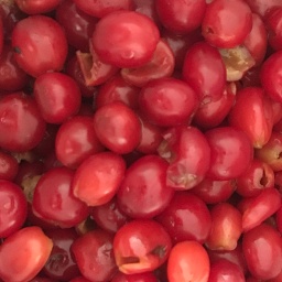 Low-Carb Sour Cherry Scones